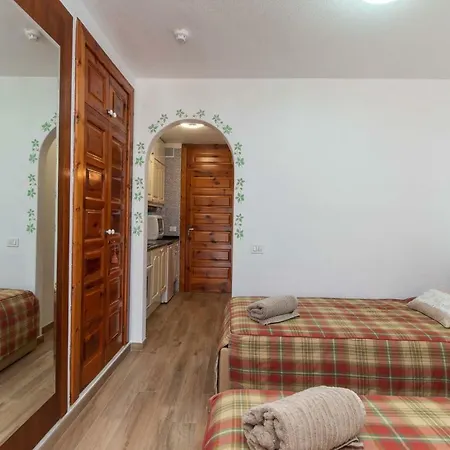 Parque Santiago Iii 189 - Studio Playa de las Americas (Tenerife)